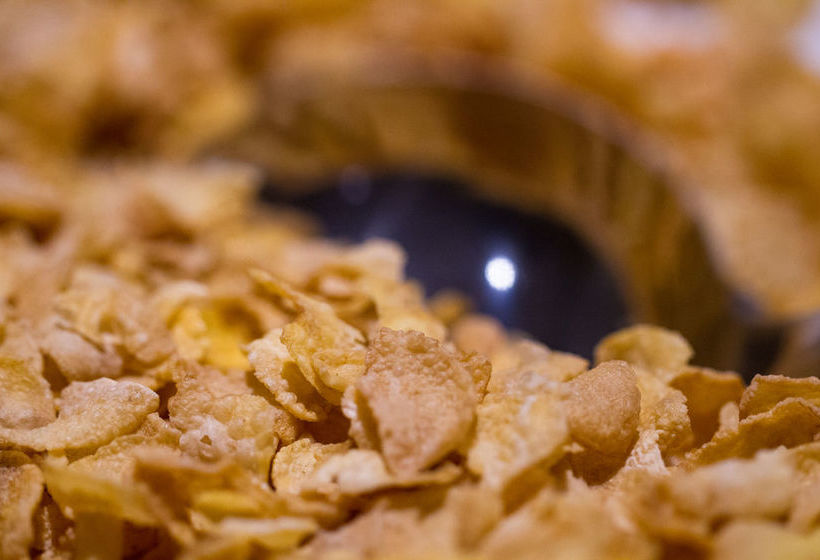 Hotel Road Lodge Randburg 18