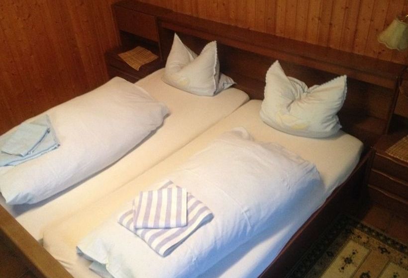 Hotel Landgasthof Zum Taunus 6