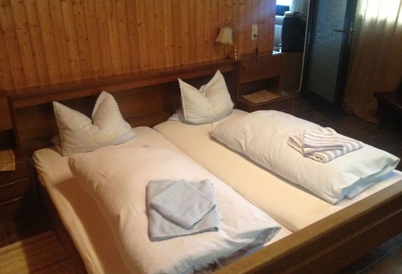 Hotel Landgasthof Zum Taunus 8