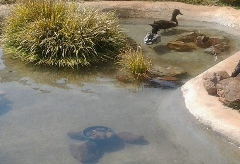 Pension Royal De Swan 4