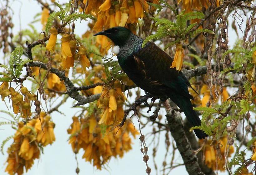 Hotel Villa Russell 1