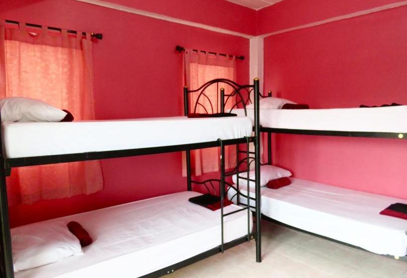 Hospedaria Backpacker Social Experience 7