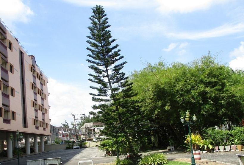 Muang Thong Family Suite Hat Yai