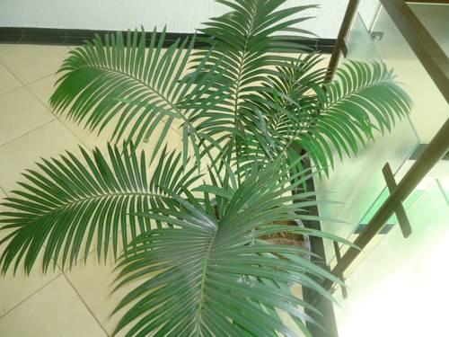 Hotel Eder  | Cacoal | Rondonia | Brasil 6