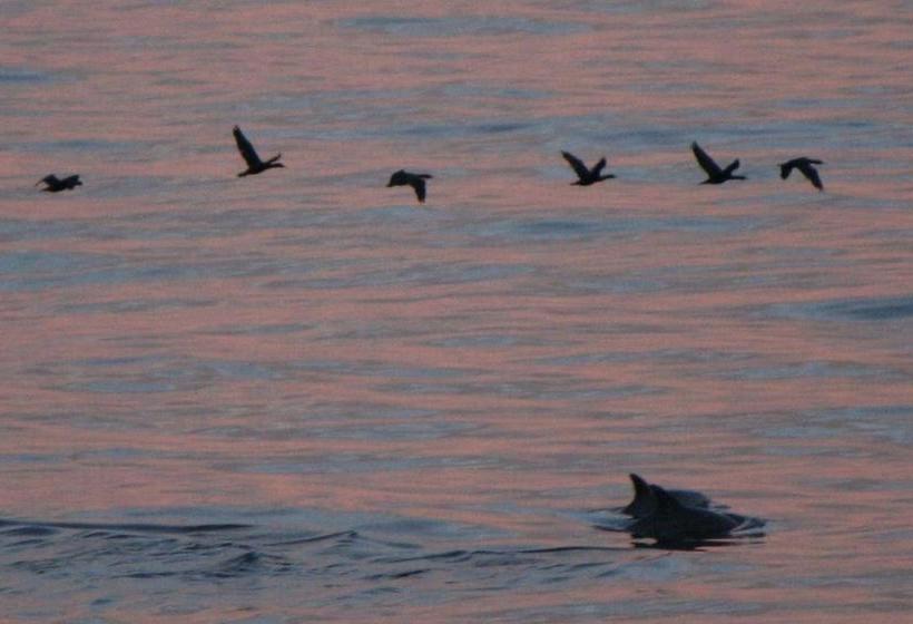 Bed and Breakfast Watercolours House 11