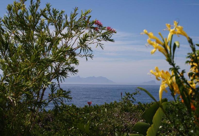 Bed and Breakfast Watercolours House 8