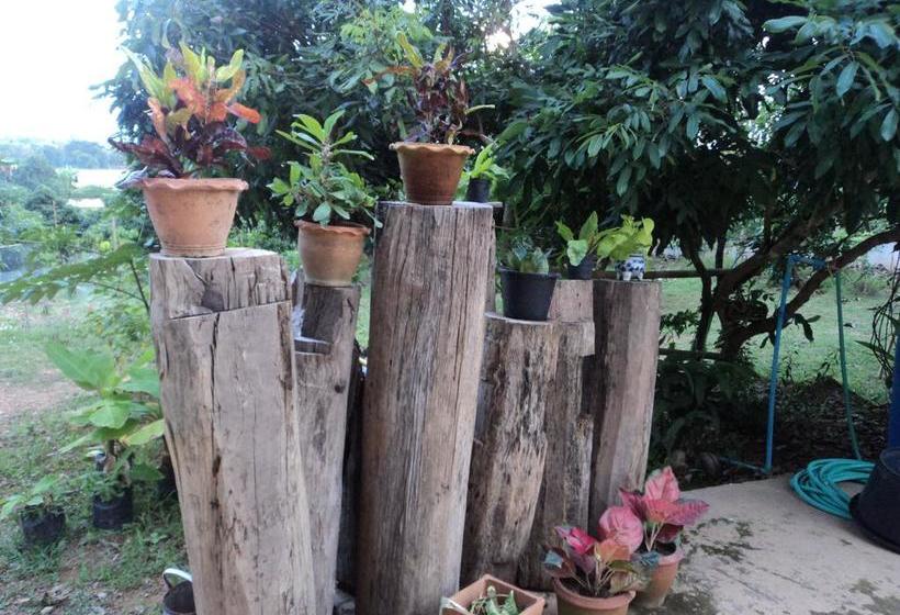 Pension Baan Suan Mai Ngam Resort 14