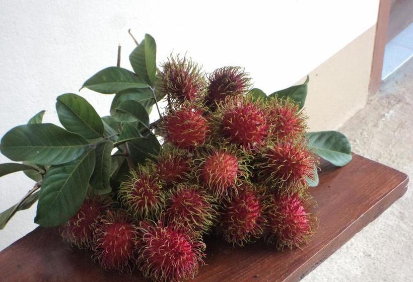 Pension Baan Suan Mai Ngam Resort 18