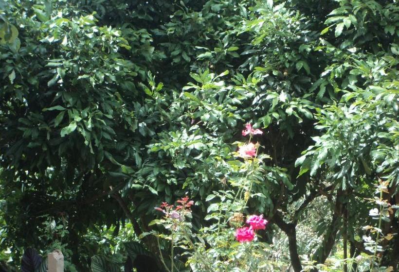 Pension Baan Suan Mai Ngam Resort 5