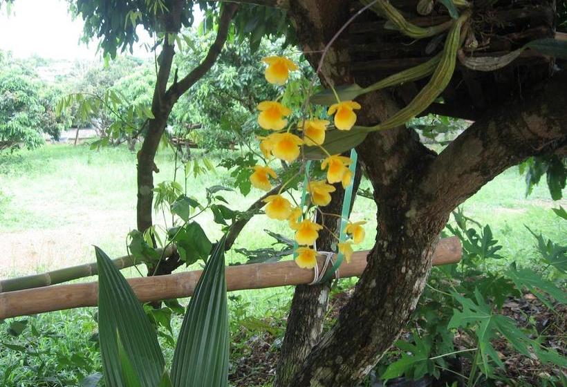 Pension Baan Suan Mai Ngam Resort 8