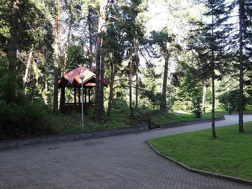 Hotel Pansionat Repino By Cronwell 17