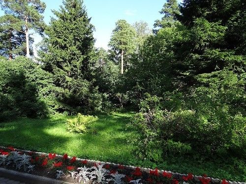 Hotel Pansionat Repino By Cronwell 18