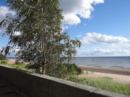 Hotel Pansionat Repino By Cronwell 19