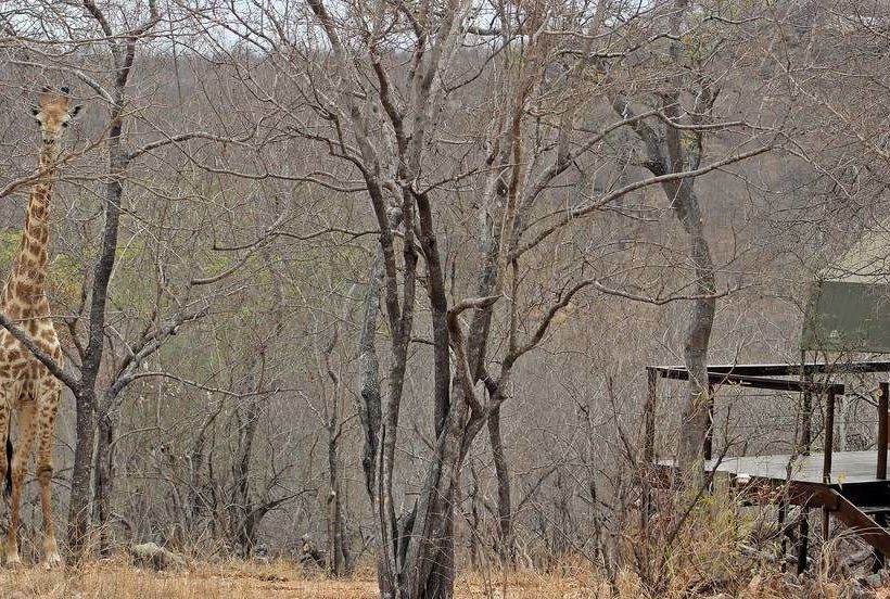 Hotel Roamers Rest Safari Lodge 12