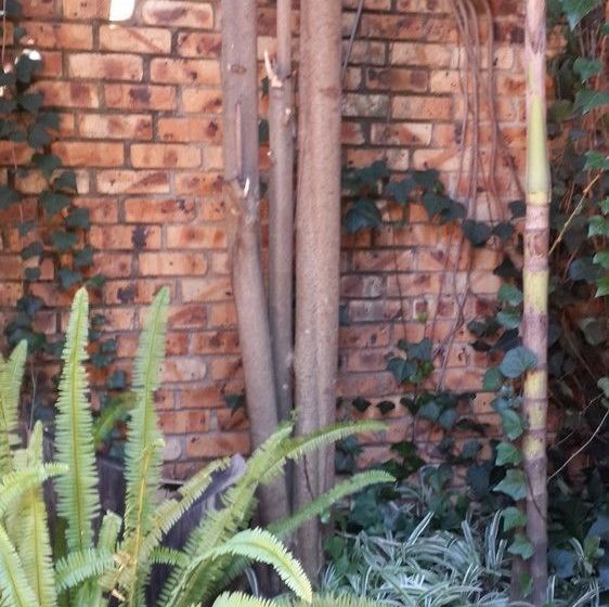 Pension Khaya Africa Lodge 9