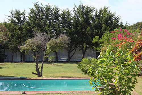 Pension Whale Coast Guesthouse 2