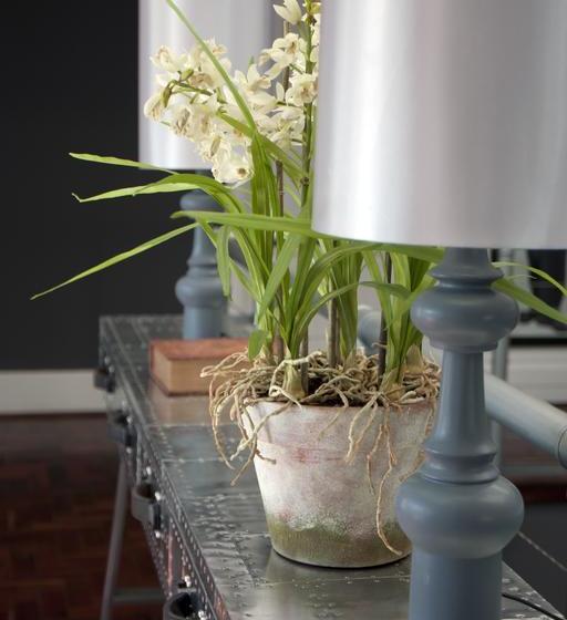 Pension Purple Trumpet Guesthouse 6