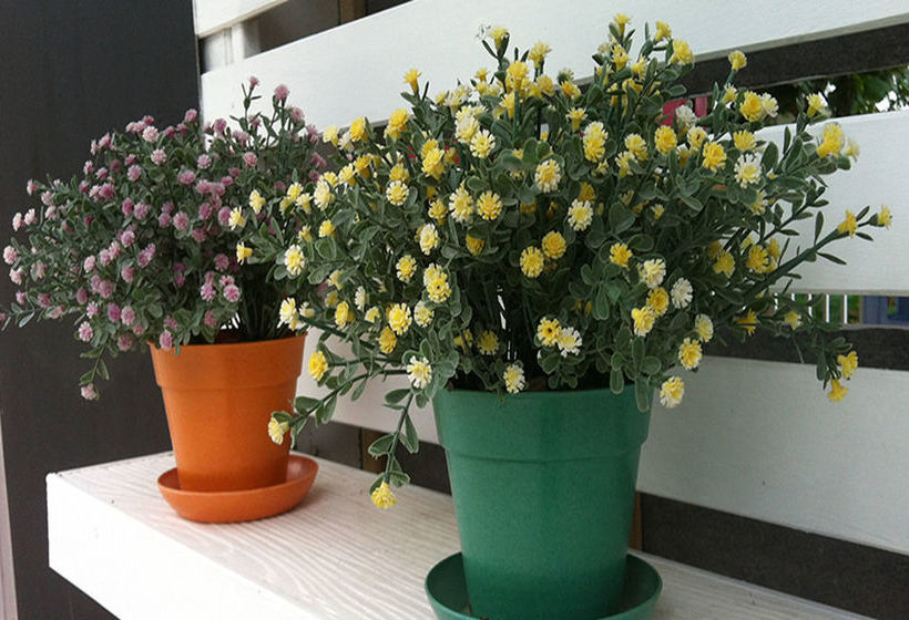 Hotel Baan Ton Mai Apartment 19