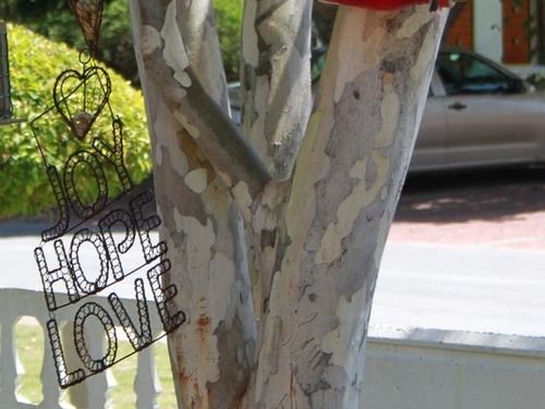 Pension Pelican Lodge 5