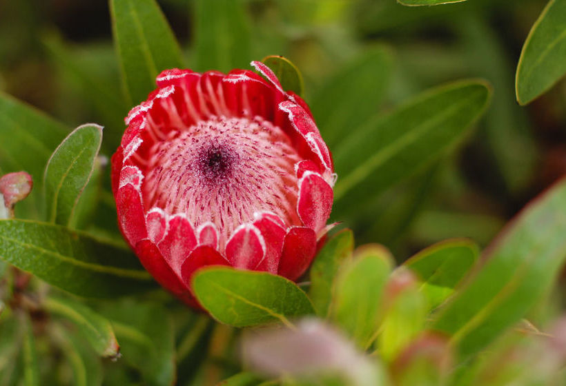 Pension Inn Victori 20