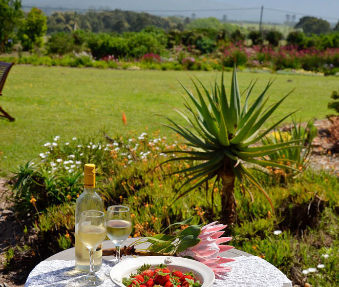 Pension Inn Victori 6