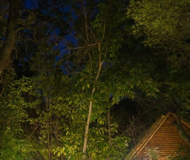 Hotel Amadwala Lodge 6