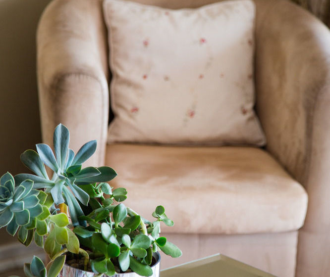 Pension Four Palms Accommodation & Conferencing 1