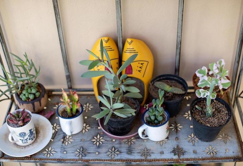 Bed and Breakfast African Tulip Guesthouse Western Cape