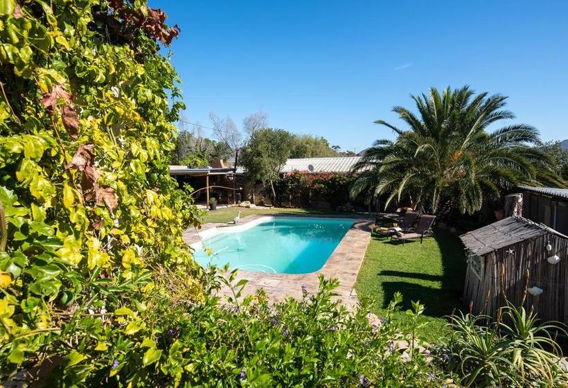 Bed and Breakfast African Tulip Guesthouse 2