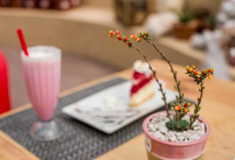 Pension Aan De Bergen Guesthouse 10