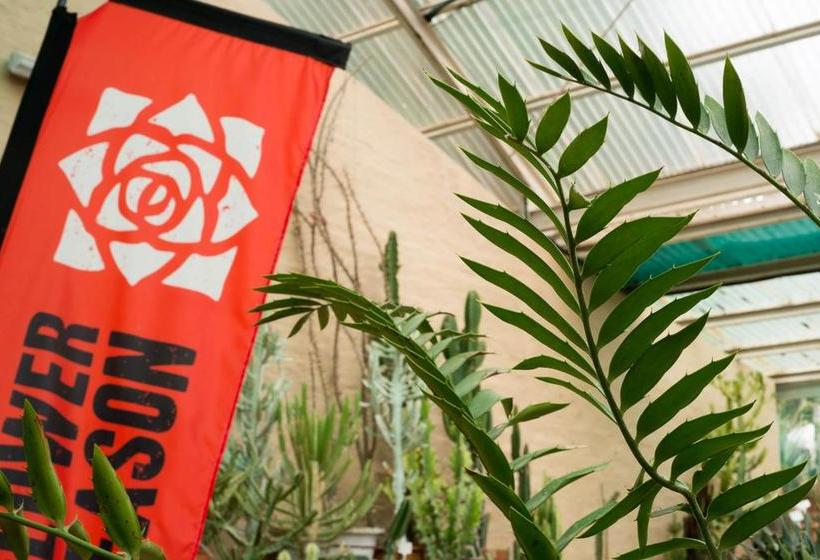 Pension Aan De Bergen Guesthouse 3