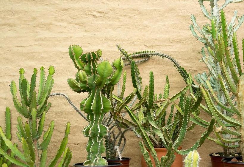 Pension Aan De Bergen Guesthouse 6