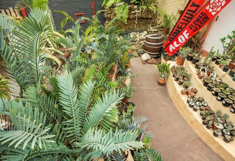 Pension Aan De Bergen Guesthouse 7