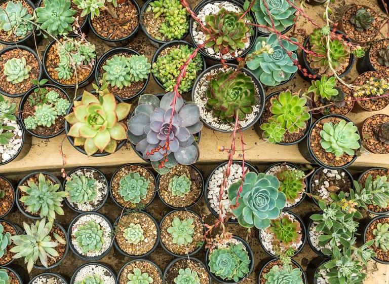 Pension Aan De Bergen Guesthouse 8