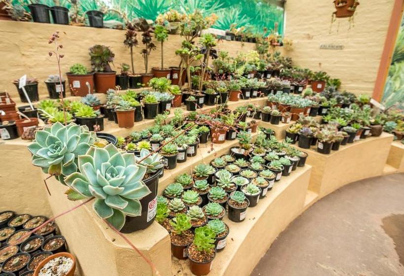 Pension Aan De Bergen Guesthouse 9