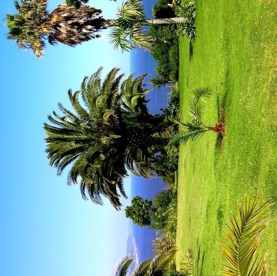 Tsitsikamma On Sea 16