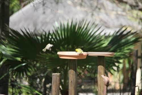 Hotel Mariepskop View 20