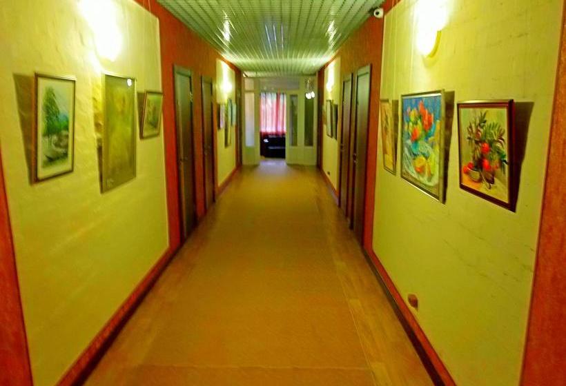 Art Plaza Hotel Tomsk 10