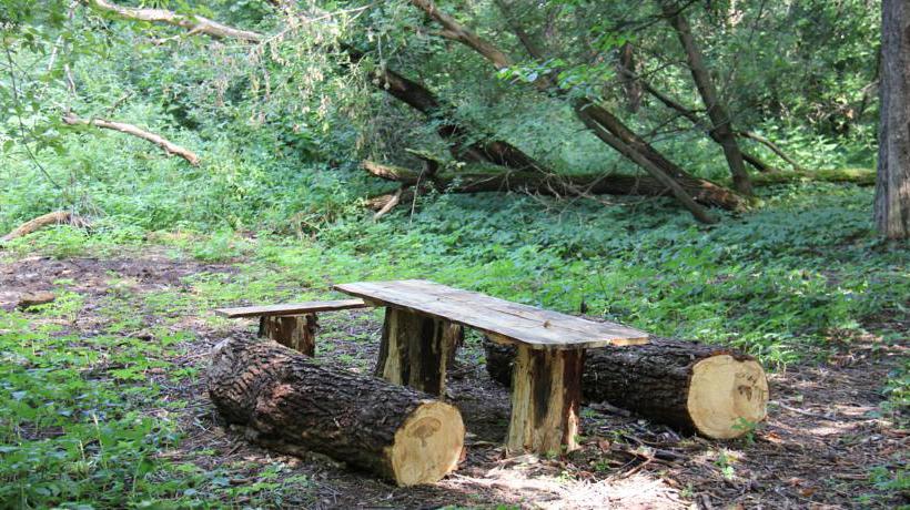 Hotel Health Resort Krutushka 15