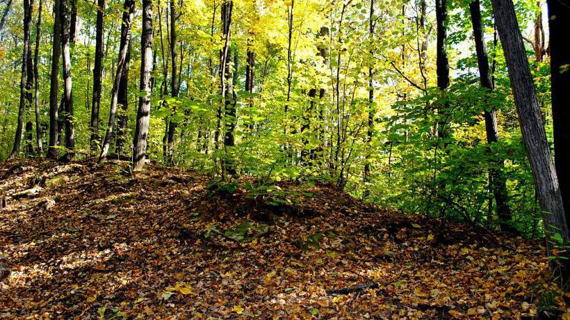 Hotel Health Resort Krutushka 6