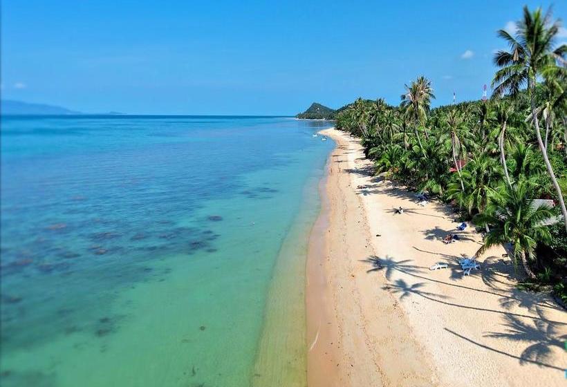 Resort King Busch Reggae Beach Bang po Beach Surat Thani