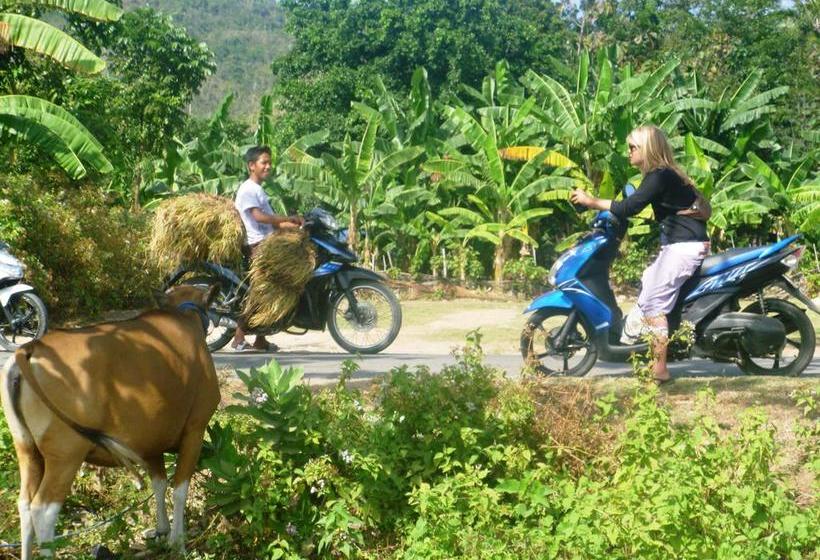 Resort King Busch Reggae Beach 14