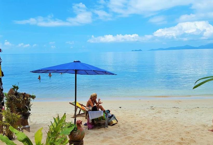 Resort King Busch Reggae Beach 5