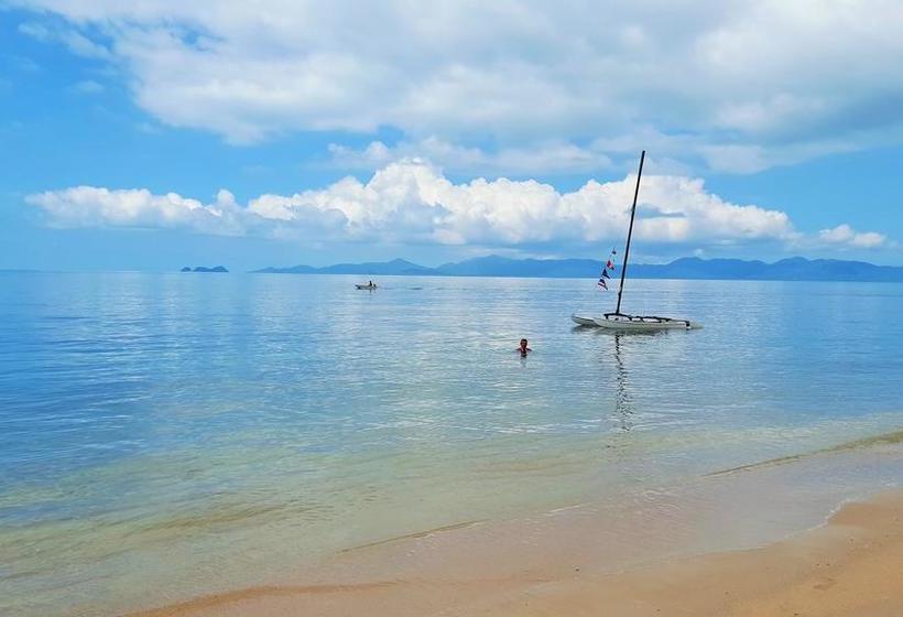 Resort King Busch Reggae Beach 8