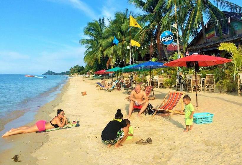 Resort King Busch Reggae Beach 9