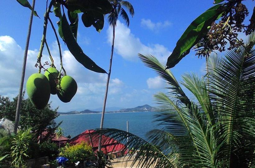 Resort Hi Coral Cove Bungalow Snorkeling Point 4