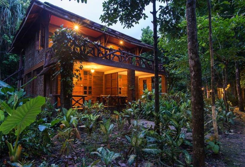 Resort Art S Riverview Lodge 11