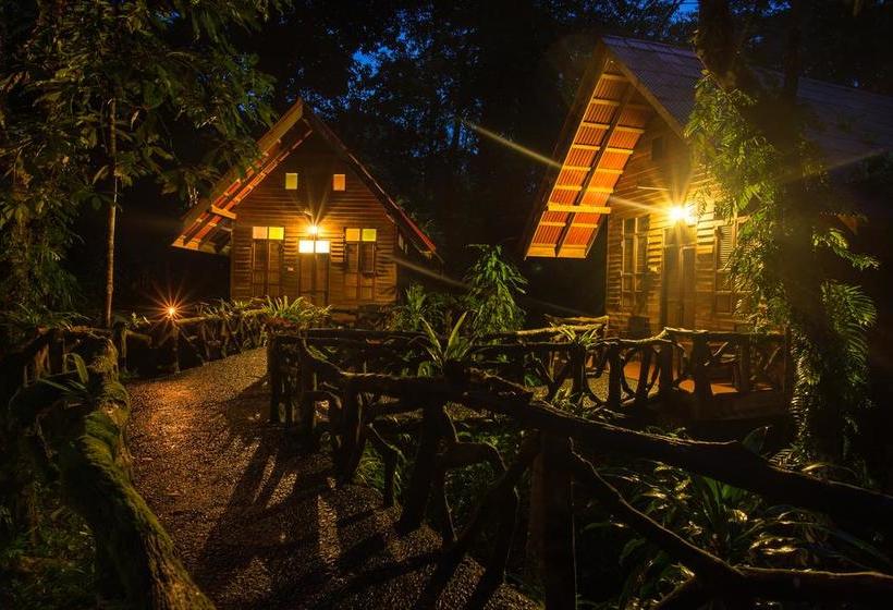 Resort Art S Riverview Lodge 19