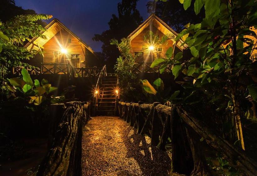 Resort Art S Riverview Lodge 9