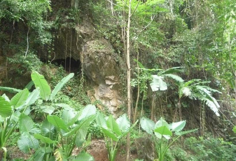 Khao Sok Holiday Resort 11